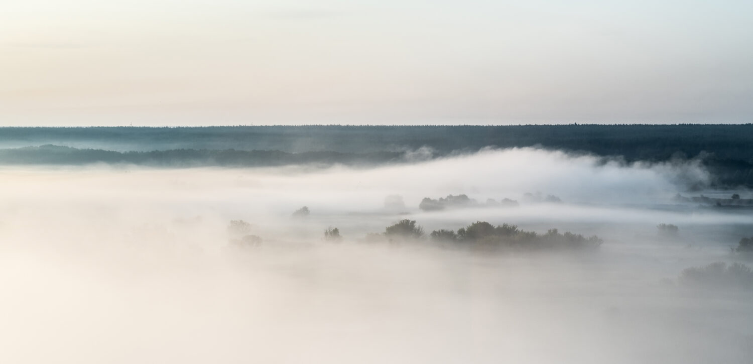 Vista panoramica del campo oscurato da una fitta nebbia