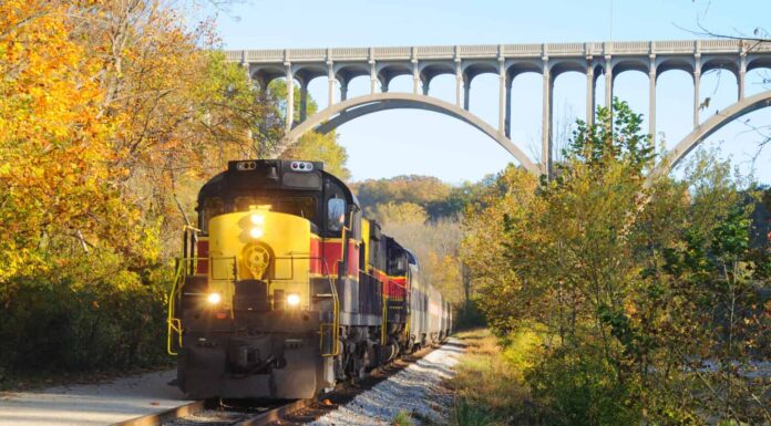 Un treno passeggeri in arrivo sotto un alto ponte ad arco in una zona panoramica