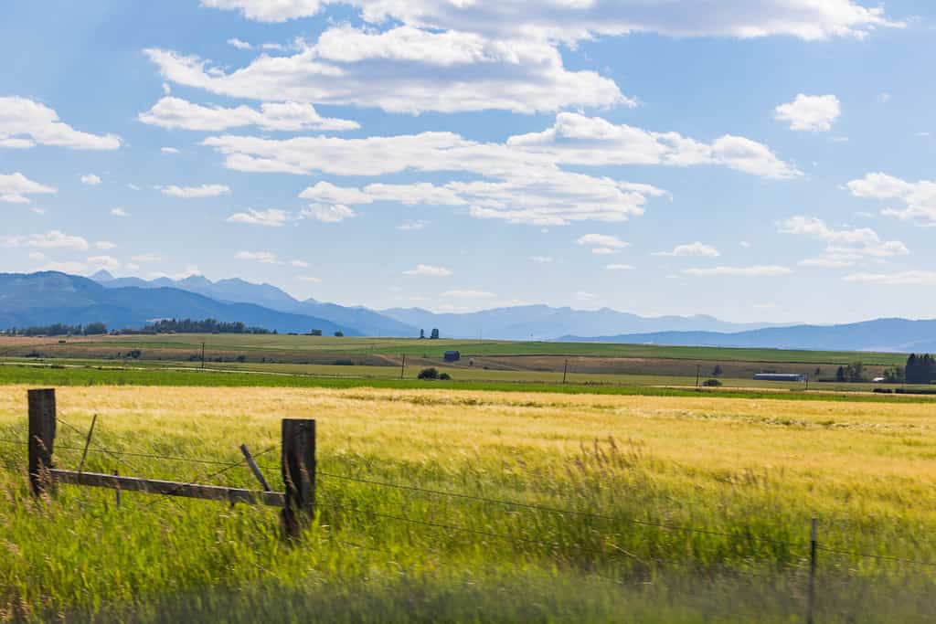 Tonalità estive blu, gialle e verdi luminose da un'autostrada vicino a Ennis, Montana, USA.