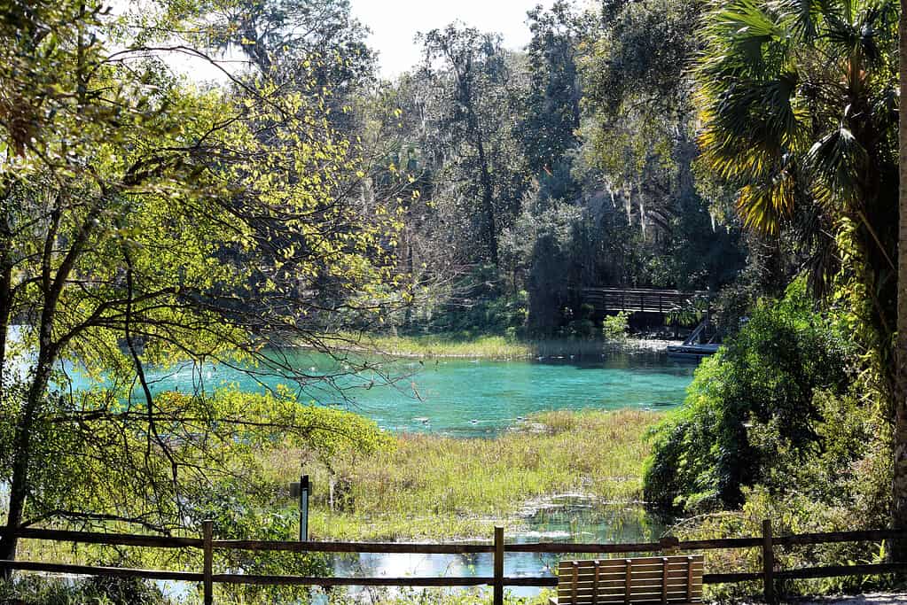 Giardini a Rainbow Springs Dunnellon, Florida