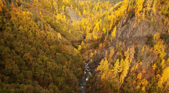 Hurricane Gulch una gola attraversata da un fiume.  Parchi autostrada Alaska Stati Uniti d'America