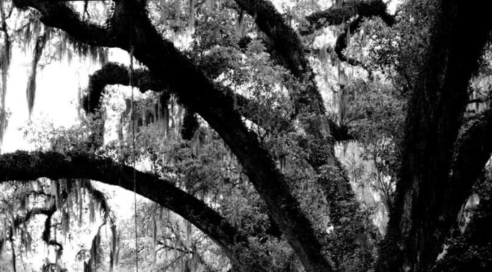 Parlange Plantation è la casa più antica della Louisiana