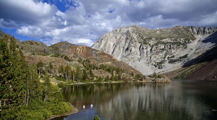 Ellery Lake, situato nella parte superiore del Lee Vining Canyon, a pochi chilometri dall'ingresso est del Parco Nazionale di Yosemite.  Il lago Ellery offre uno splendido scenario alpino, grandi combattimenti e campeggio.