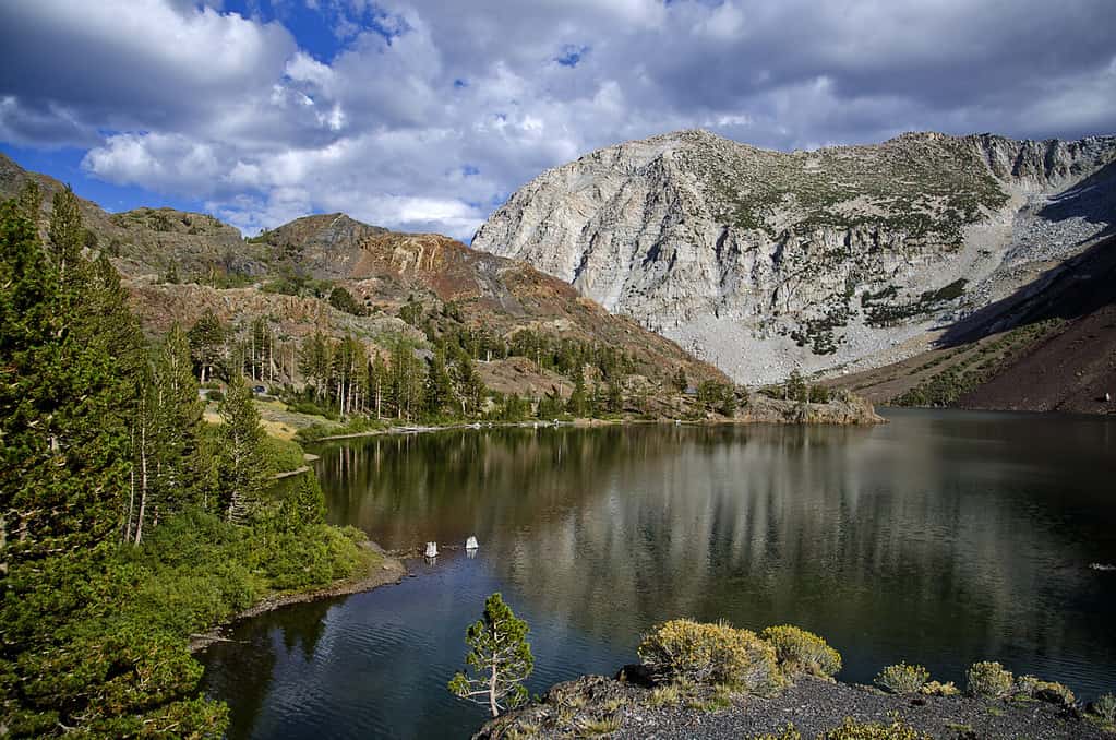 Ellery Lake, situato nella parte superiore del Lee Vining Canyon, a pochi chilometri dall'ingresso est del Parco Nazionale di Yosemite.  Il lago Ellery offre uno splendido scenario alpino, grandi combattimenti e campeggio.