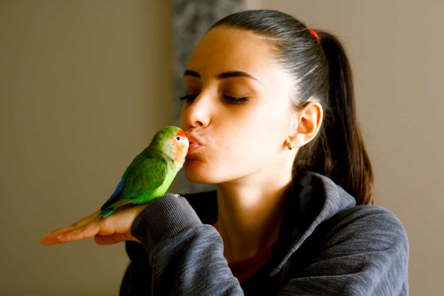 Un pappagallo dalle ali arancioni appollaiato sulla spalla di una ragazzina, incuriosito dal suo zaino.