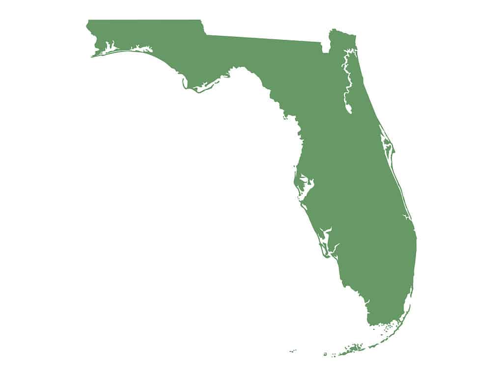 Florida - mappa dello stato degli Stati Uniti