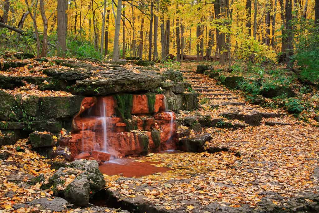 Una sorgente naturale con scalinata in pietra e il percorso attraverso una foresta in fiamme con i colori dell'autunno, Glen Helen Nature Preserve;  Yellow Springs Ohio, USA