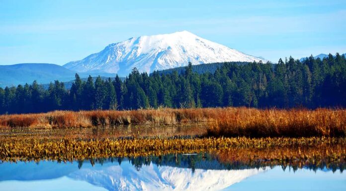 Mount Saint Helens riflesso nel Silver Lake a Washington