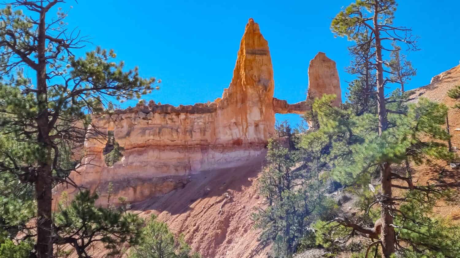 Vista panoramica della formazione rocciosa di Hoodoo chiamata Tower Bridge da Fairyland Trail nel Parco Nazionale di Bryce Canyon, Utah, Stati Uniti d'America, Stati Uniti d'America.  Ponte ad arco naturale in un paesaggio unico.  Pini