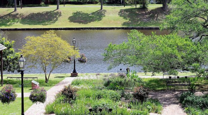 Il colorato parco del centro della storica Natchitoches, in Louisiana, si trova vicino al Cane River Lake.