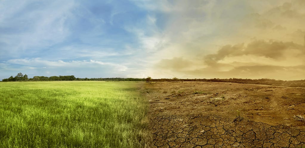 Paesaggio del campo di prato con il concetto di ambiente mutevole del cambiamento climatico