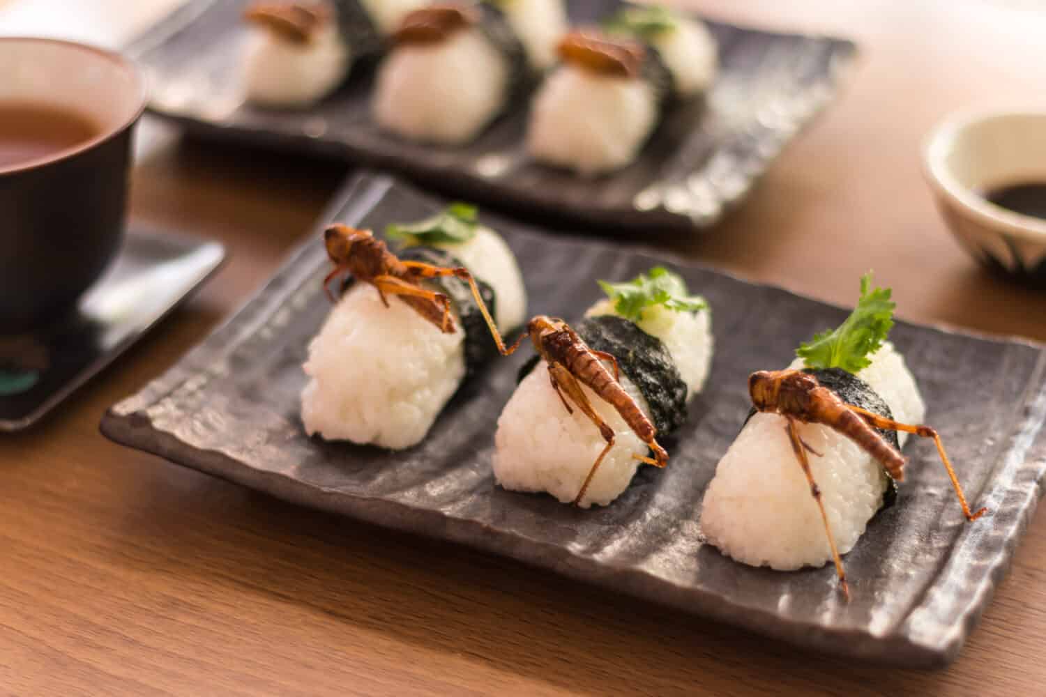 Set di sushi del primo piano con l'insetto fritto commestibile della cavalletta.  Gli alimenti sono popolari in Thailandia.  Seleziona messa a fuoco.