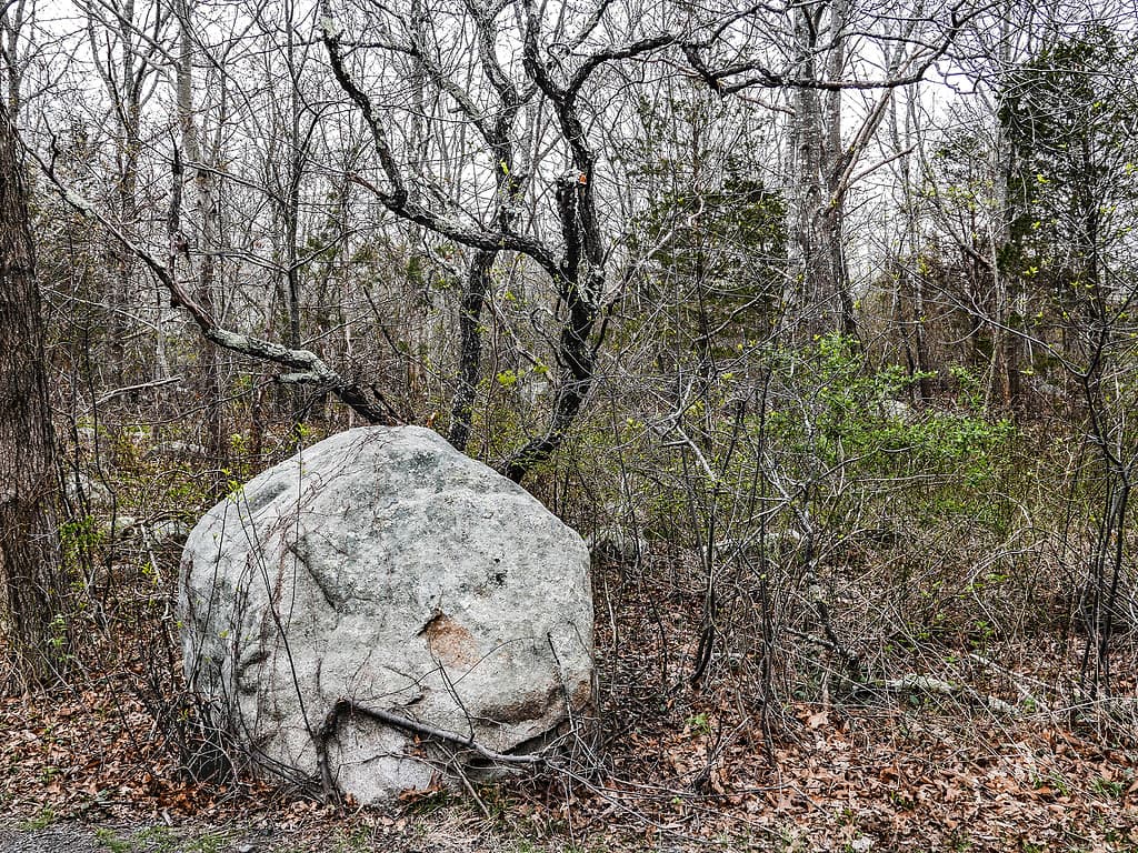 Masso a Forest Edge, Dogtown Commons