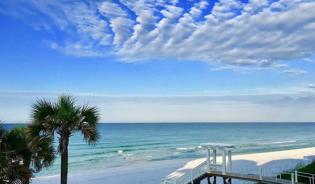 Palme sulla spiaggia di Santa Rosa, Florida