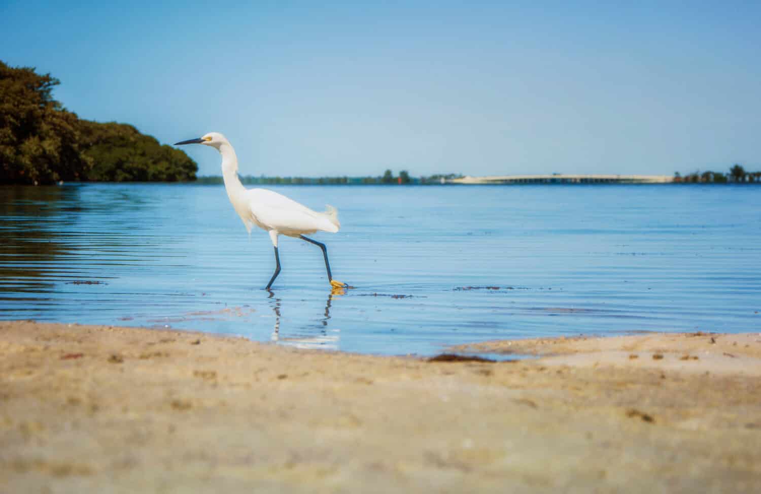 Parco Florida di Fort De Soto