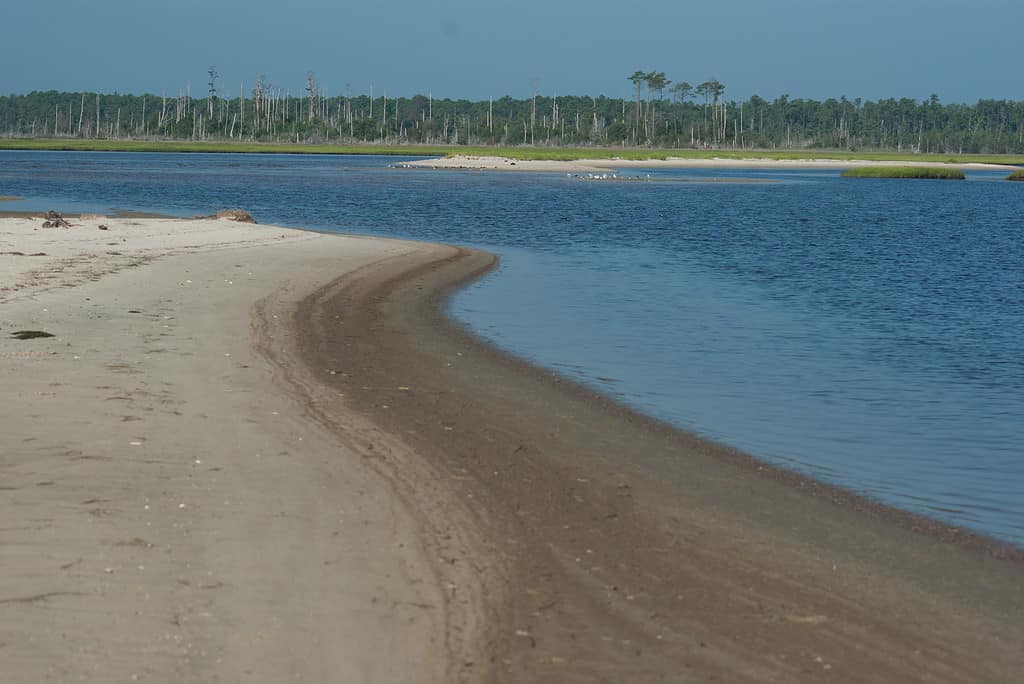 La Virginia ha le più grandi spiagge degli Stati Uniti, tra cui la Bethel Beach Natural Area Preserve, Chesapeake Bay, Virginia