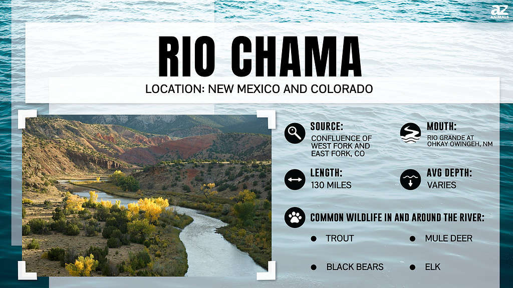 Infografica del Rio Chama