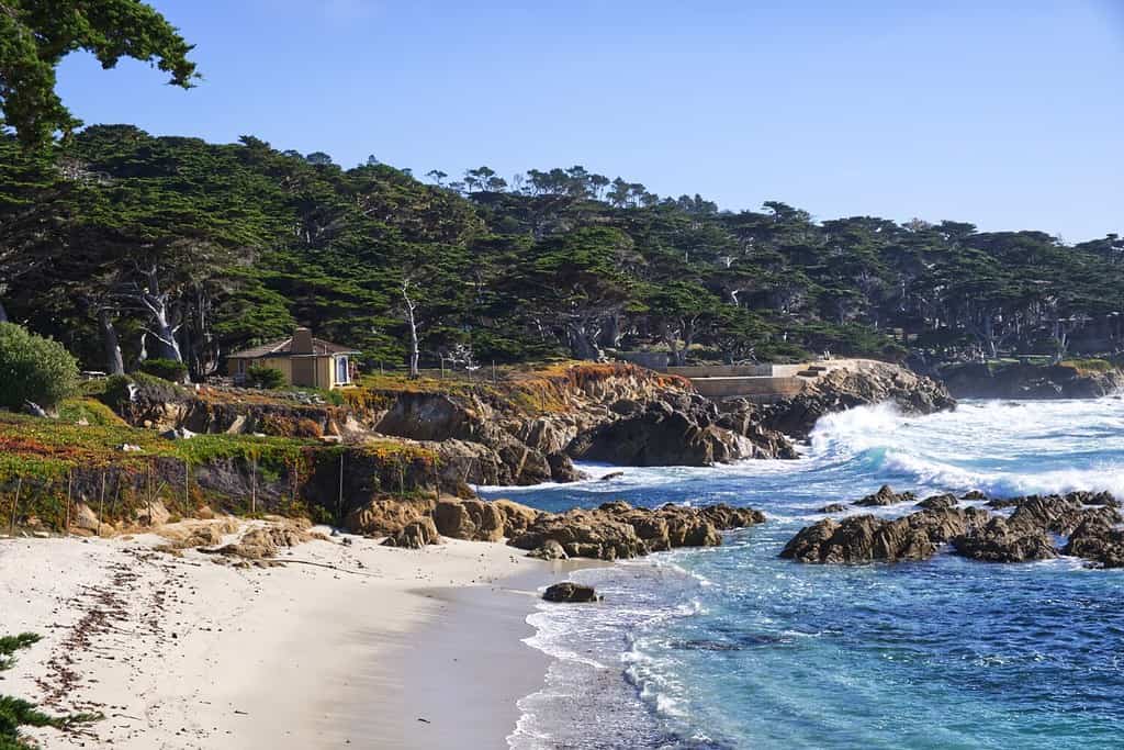 Onde tempestose al largo della costa rocciosa lungo la 17-mile Drive