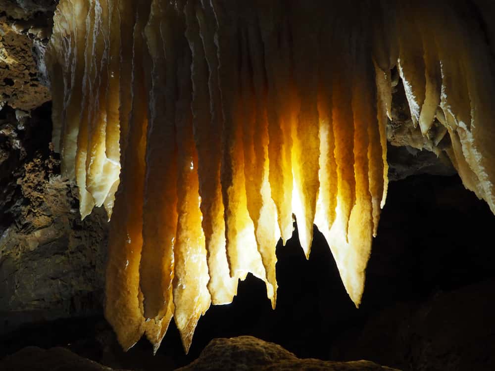 Formazioni rocciose a Black Chasm Cavern nel nord della California.  Stalattiti, stalagmiti e colonne sono illuminate dall'impianto di illuminazione del parco.