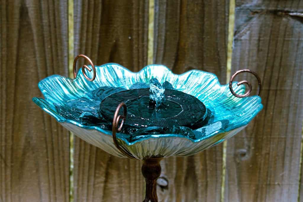 Vista laterale della vasca per uccelli in vetro con fontana ad energia solare per giardino