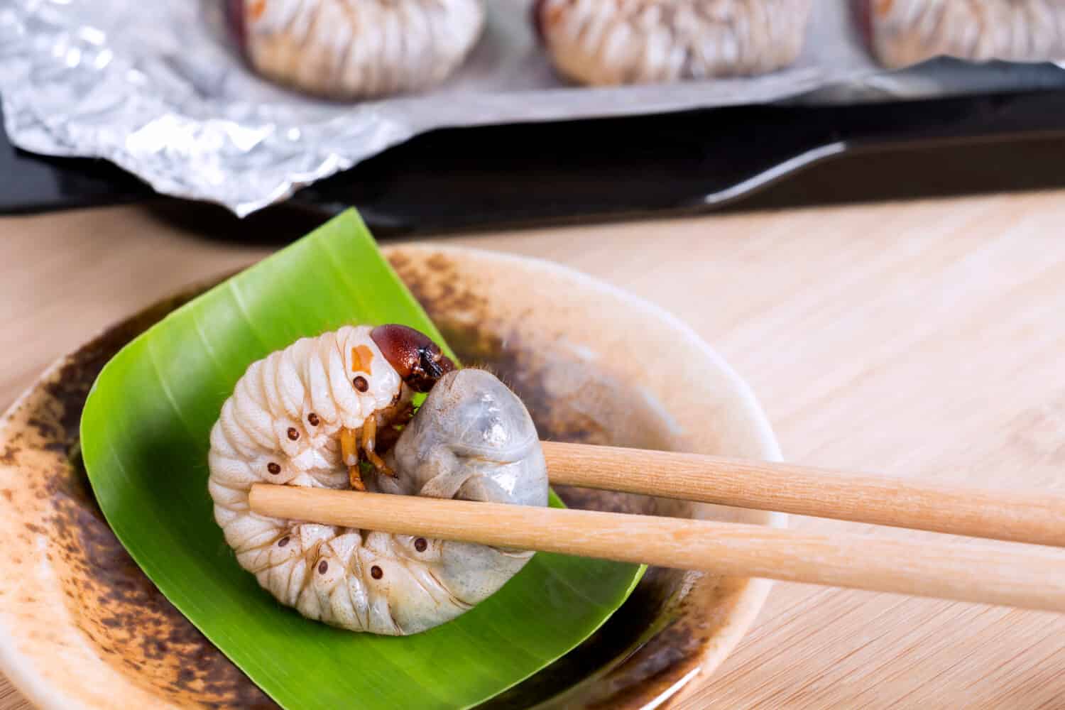 Grub vermi o scarabeo rinoceronte della noce di cocco.  Cibo per insetti per mangiare larve fritte o cotte su piastra con bacchette e su teglia, è una buona fonte di proteine ​​commestibili.  Concetto di entomofagia.