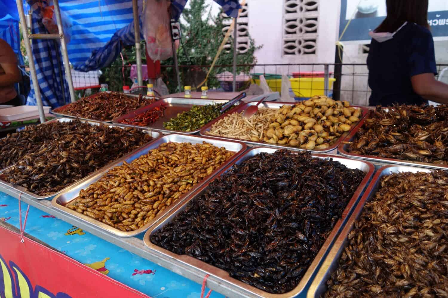 Phuket, Thailandia - insetti commestibili e insetti in vendita in una bancarella del mercato tailandese