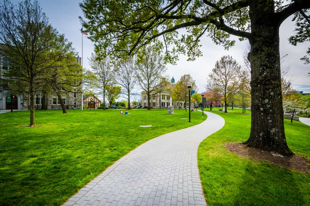 Alberi e passerella alla Loyola University Maryland, a Baltimora, Maryland.