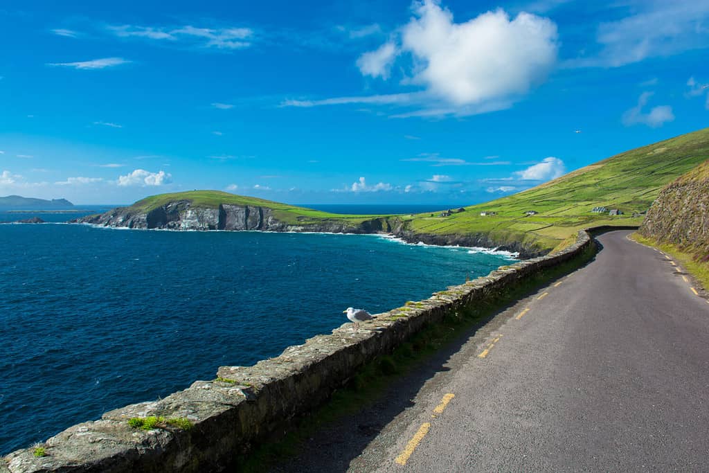 Strada costiera a binario unico a Slea Head in Irlanda