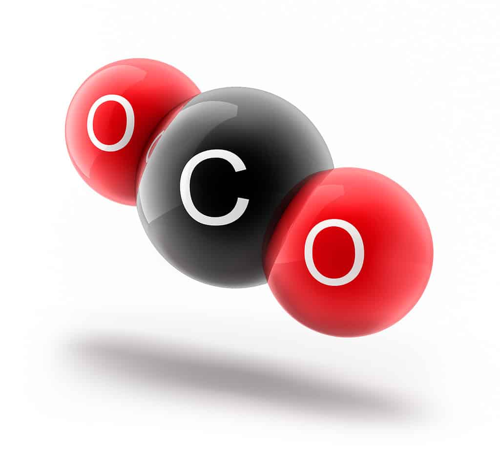 Il carbonio è essenziale per la vita e l’anidride carbonica è una molecola essenziale di carbonio.