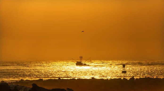 Barca da pesca lasciando Westport Sunset Buoy Grays Breakwater Harbour Puget Sound Stato di Washington Pacific Northwest