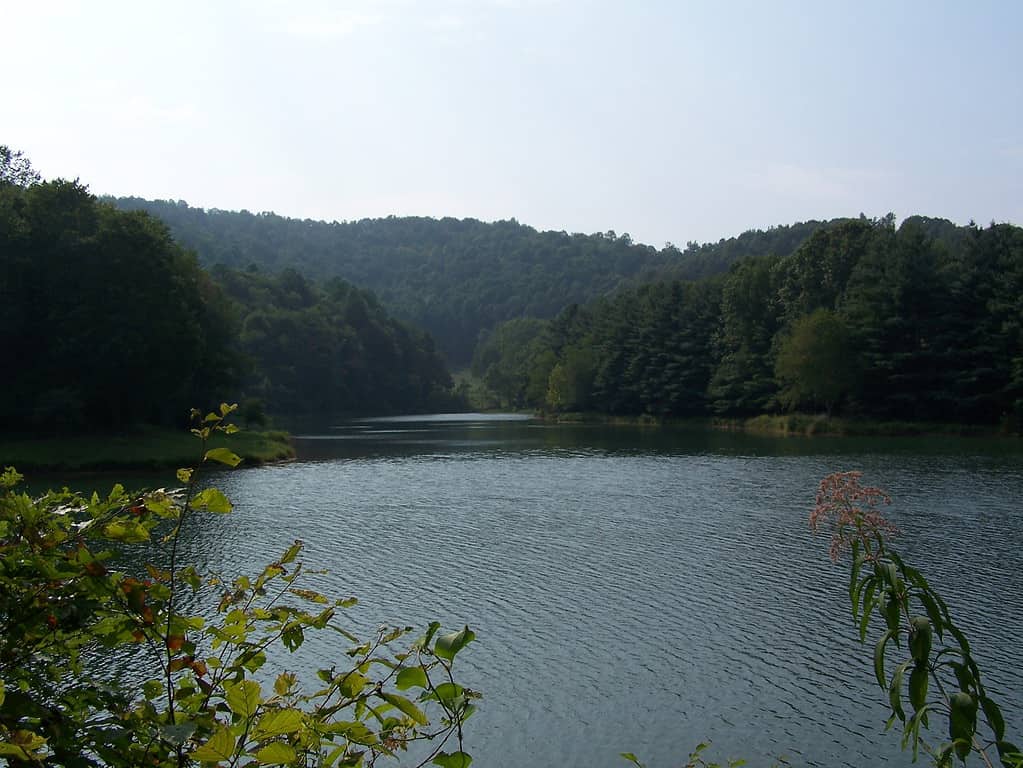Lago di Stonecoal Reservoir nel West Virginia