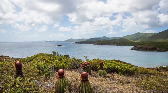 Bella vista panoramica del Parco Nazionale delle Isole Vergini Americane sull'isola di Saint John durante il giorno.