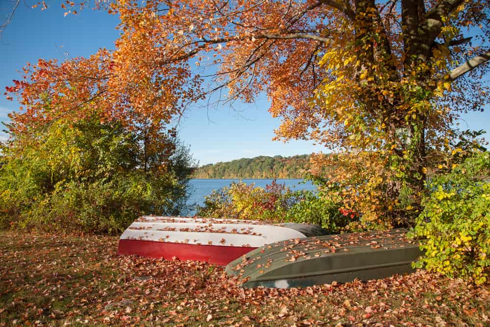 Due barche a remi inutilizzate accanto al lago nella contea di Putnam, New York.