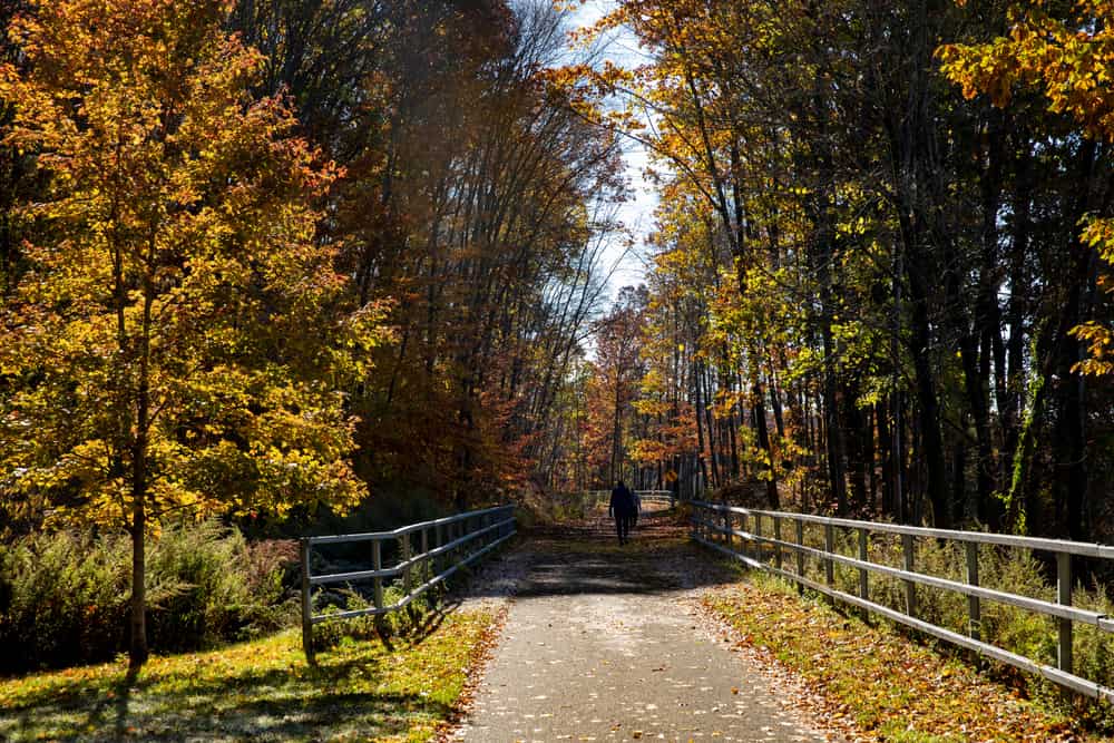 I colori dell'autunno lungo un sentiero nella contea di Putnam, New York.
