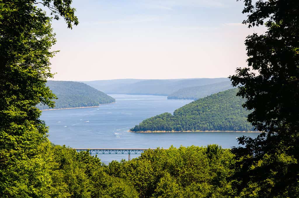 Fiume con ponte ad Allegheny