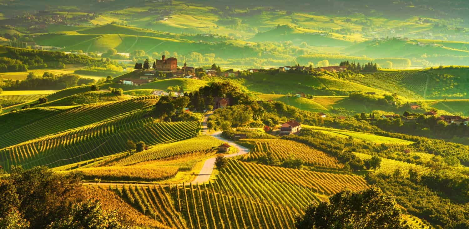 Vigneti delle Langhe panorama al tramonto, Grinzane Cavour, sito Unesco, Piemonte, Italia settentrionale Europa.