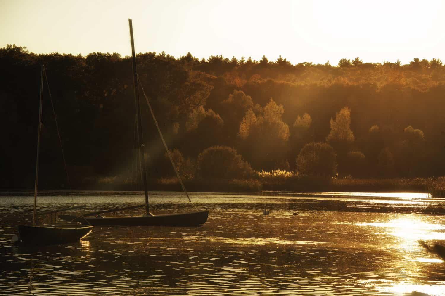 Tramonto sul lago di Wellesley College, MA