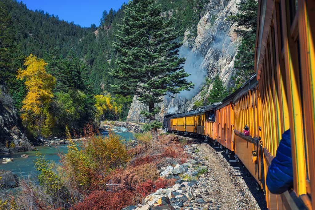 Lo storico treno a vapore viaggia da Durango a Silverton attraverso le montagne di San Juan lungo il fiume Animas in Colorado, USA.