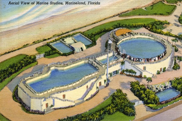 Veduta aerea dei Marine Studios, Marineland, Florida nel 1939, un anno dopo l'apertura nel 1938.