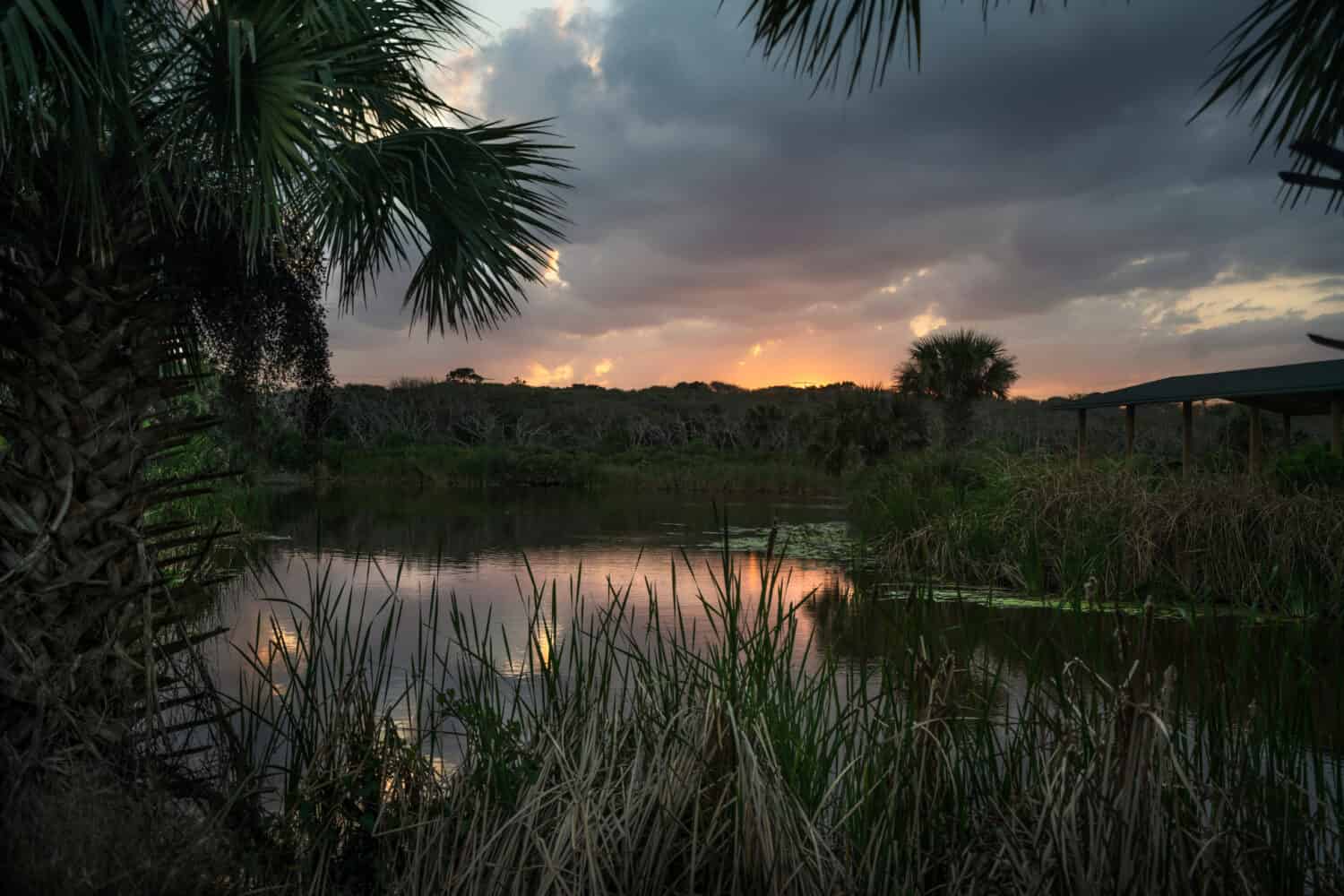 Il sole tramonta su River to Sea Nature Preserve a Marineland, in Florida