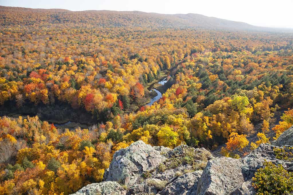 Colline e valli nel Michigan con alberi in un brillante colore autunnale sopra un piccolo fiume