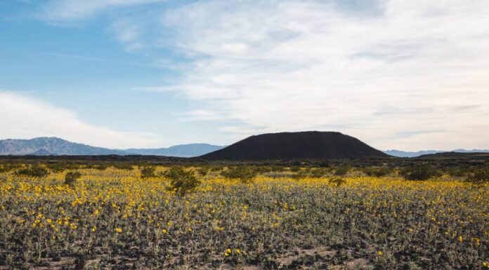 Deserto del Mojave in California