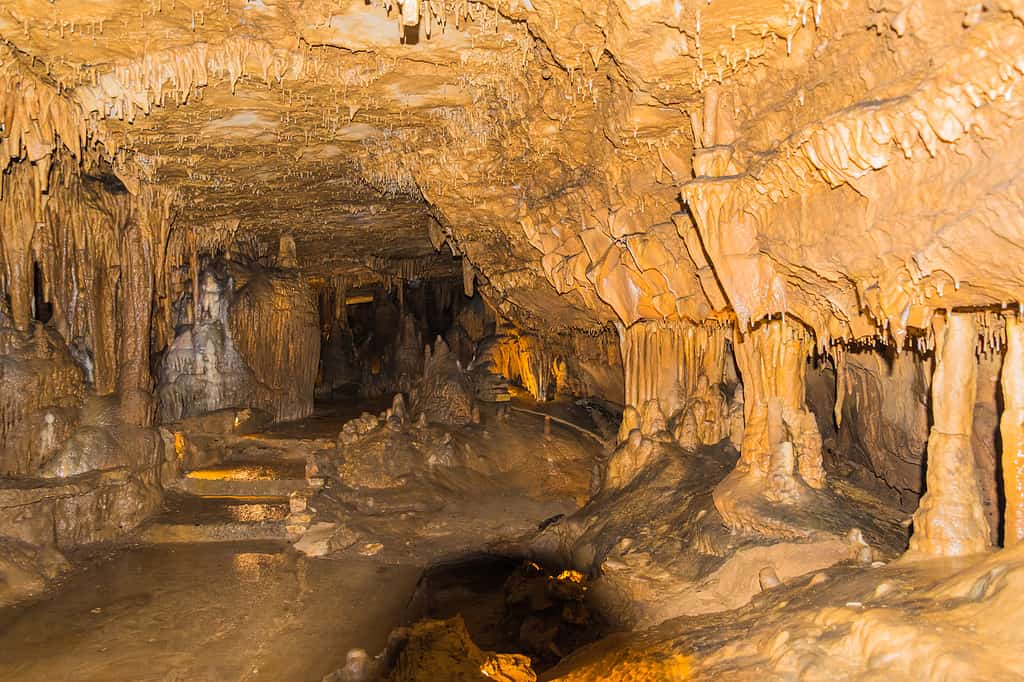 Punto di riferimento nazionale della grotta di Marengo a Marengo, Indiana