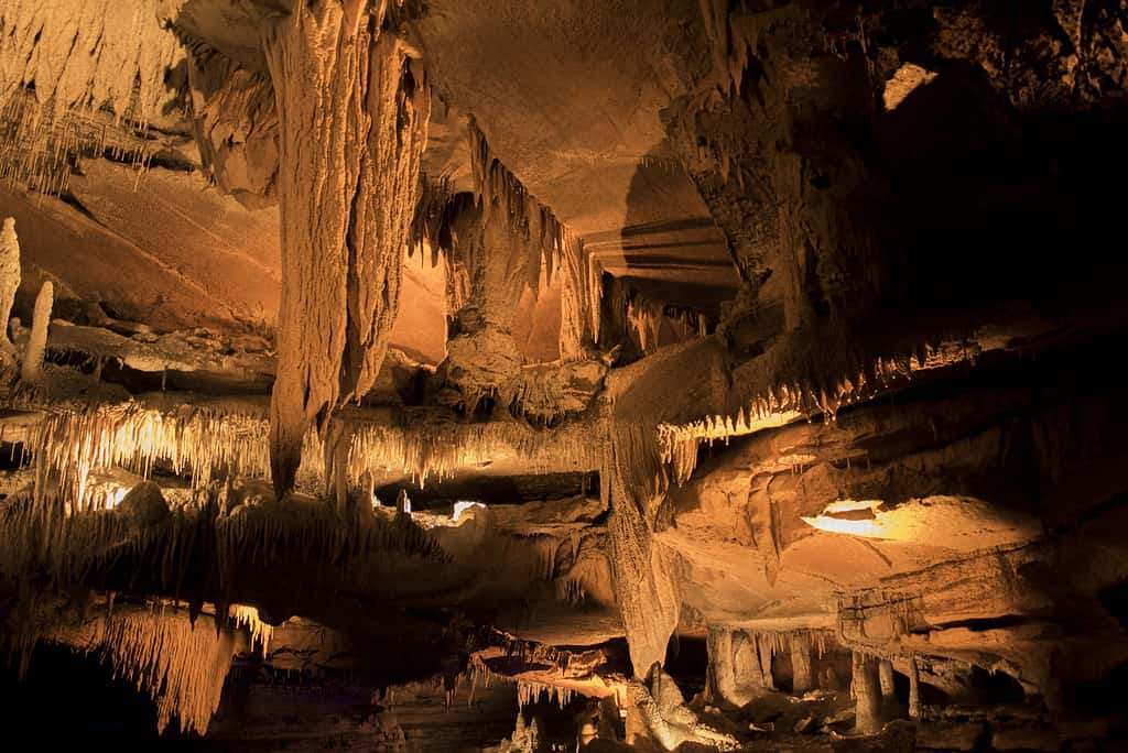 Caverna di Squire Boon, Indiana