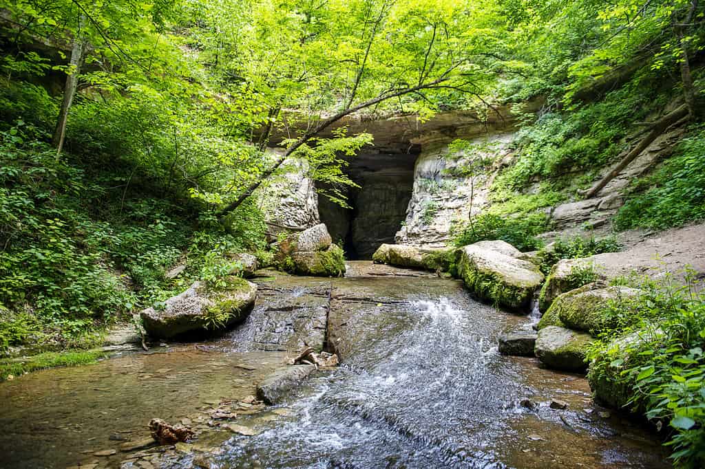 Donaldson Cave di Twin Caves in Indiana