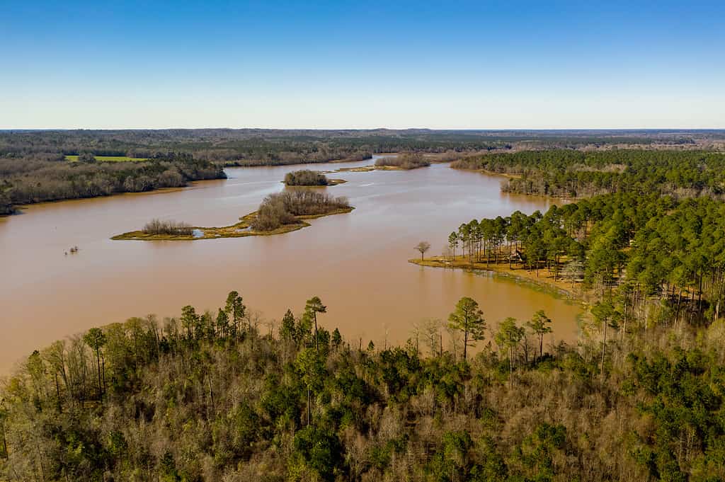 Foto aerea paesaggio Eufaula Alabama