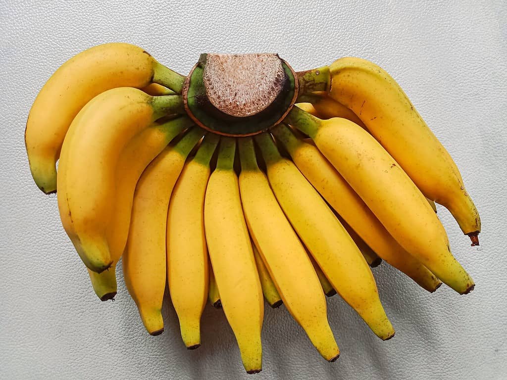 Le banane savoiardi (note anche come banane zuccherate, banane fichi o banane datteri) sono cultivar diploidi di Musa acuminata.  Sono piccoli, dalla pelle sottile e dolci.