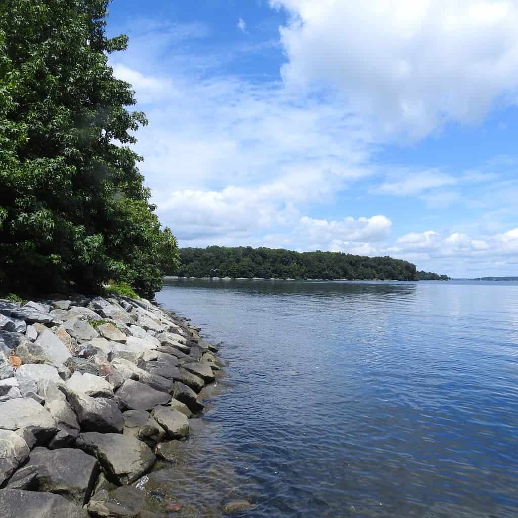 Scena pittoresca del fiume Elk, Elk Neck State Park, Cecil County, Maryland.