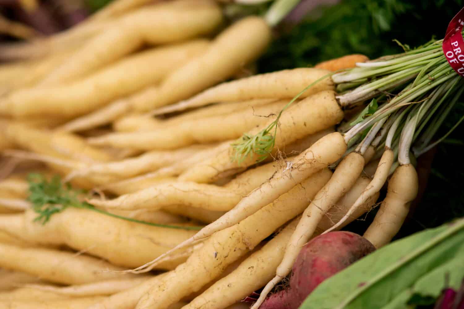 Le carote bianche sono in vendita in un mercato estivo degli agricoltori.