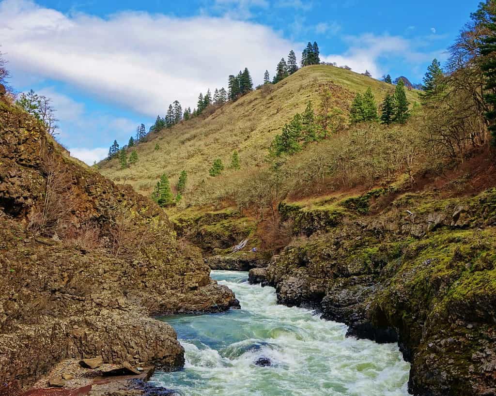 Il fiume Klickitat scorre attraverso una gola in una bella giornata nello stato di Washington mentre si dirige verso la sua confluenza con il fiume Columbia nella città di Lyle, WA.